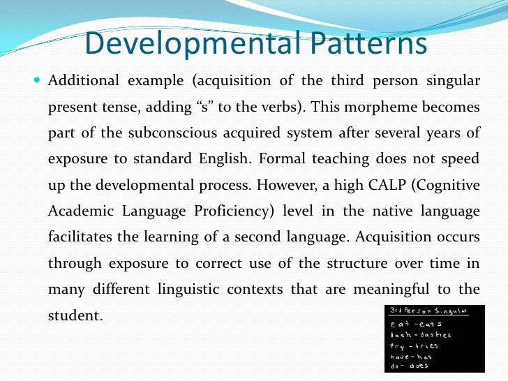 Third or Additional Language Acquisition (Second Language Acquisition)